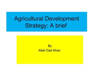 Agricultural Development
Strategy: A brief
By
Allah Dad Khan
 