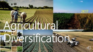Agricultural
Diversification
2K17
Amar Kumar Mandal
 