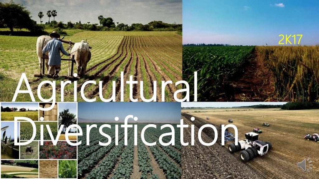 Agricultural diversification