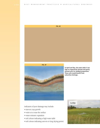 1 0 8   B E S T   M A N A G E M E N T     P R A C T I C E S      �   A G R I C U L T U R A L     D R A I N A G E




                                                       FIG. 6E




                                FIG. 6F
                                                                       In April and May, the water table is too
                                                                       high on imperfectly drained and poorly
                                                                       drained soils for seedbed preparation.
                                                                       These soils would benefit from
                                                                       subsurface drainage.




                                                                                6.02p
        Indicators of poor drainage may include:
        • uneven crop growth
        • water at or near the surface
        • water-tolerant vegetation
        • soil colours indicating a high water table
        • soil colours indicating uneven or long drying period.
 