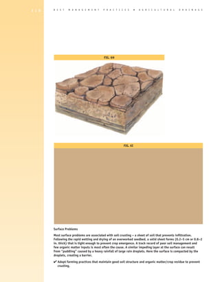1 1 0   B E S T   M A N A G E M E N T      P R A C T I C E S       �   A gricultural            D R A I N A G E




                                           Fig. 6H




                                                         Fig. 6I




        Surface Problems
        Most surface problems are associated with soil crusting – a sheet of soil that prevents infiltration.
        Following the rapid wetting and drying of an overworked seedbed, a solid sheet forms (0.2–5 cm or 0.8–2
        in. thick) that is tight enough to prevent crop emergence. A track record of poor soil management and
        few organic matter inputs is most often the cause. A similar impeding layer at the surface can result
        from “puddling” caused by a heavy rainfall of large rain droplets. Here the surface is compacted by the
        droplets, creating a barrier.

        4  dopt farming practices that maintain good soil structure and organic matter/crop residue to prevent
          A
          crusting.
 