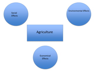 Agriculture
Social
Effects
Environmental Effects
Economical
Effects
 
