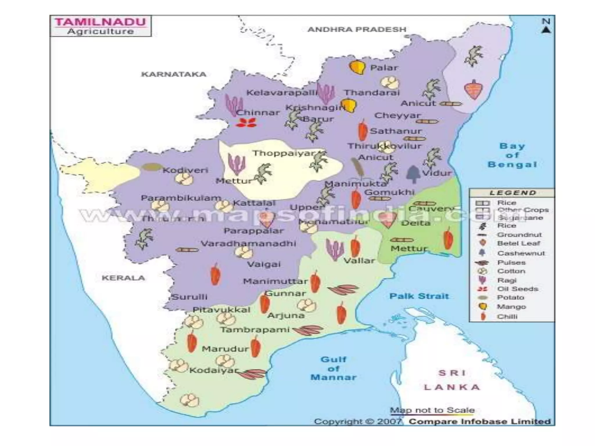 Agricultural geography
