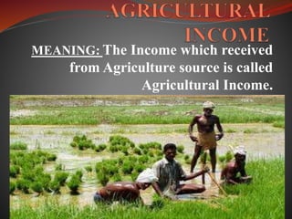 MEANING: The Income which received
from Agriculture source is called
Agricultural Income.
 
