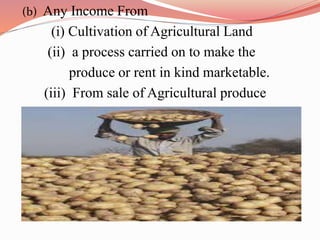 (b) Any Income From
(i) Cultivation of Agricultural Land
(ii) a process carried on to make the
produce or rent in kind marketable.
(iii) From sale of Agricultural produce
 