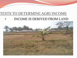 TESTS TO DETERMINE AGRI INCOME
 INCOME IS DERIVED FROM LAND
 