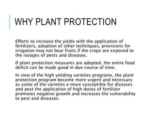 WHY PLANT PROTECTION
Efforts to increase the yields with the application of
fertilizers, adoption of other techniques, provisions for
irrigation may not bear fruits if the crops are exposed to
the ravages of pests and diseases.
If plant protection measures are adopted, the entire food
deficit can be made good in due course of time.
In view of the high yielding varieties programs, the plant
protection program become more urgent and necessary
as some of the varieties e more susceptible for diseases
and pest the application of high doses of fertilizer
promotes negative growth and increases the vulnerability
to pest and diseases.
 