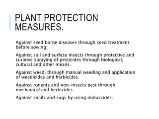 PLANT PROTECTION
MEASURES.
Against seed borne diseases through seed treatment
before sowing.
Against soil and surface insects through protective and
curative spraying of pesticides through biological,
cultural and other means.
Against weed, through manual weeding and application
of weedicides and herbicides.
Against rodents and non-insects pest through
mechanical and herbicides.
Against snails and sugs by using moluscides.
 