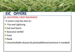 Loss Cost or “purepremium”
• Actual or expected cost to an insurer of
indemnity payments and allocated loss
adjustment expenses
• Loss costs do not include overhead costs or
profit loadings.
• Historical loss costs reflect only the costs and
assessment costs associated with past
claims.
• Prospective loss costs are estimates of future
loss costs, which are derived by trending and
developing historical loss costs.
A. MULTIPERIL CROP INSURANCE
It covers crop loss due to:-
 Fire and Lightning
 hail and Storm
 Excessive rainfall
 Frost
 flood
 Uncontrollable disease & pests(additional premium is needed)
EIC OFFERS
 