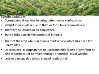 Specific exclusions:-
• Consequential loss due to delay, detention or confiscation.
• Weight losses unless due to theft or fortuitous circumstances.
• Theft by the insured or its employees.
• Transit risks outside the borders of Ethiopia
• Theft of the crop whilst in or on a road vehicle which has been left
unattended.
• Unexplained disappearance or unaccountable losses of any form or
kind whatsoever or normal shrinkage or normal loss of weight.
• Loss or damage due to bad state of roads or rail.
 