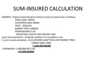 SUM-INSURED CALCULATION
EXAMPLE ; Sidama seed enterprise notify to insure its seed maize as follows;
TOTAL LAND -500HA
CULTIVATED LAND-300HA
YIELD -30QL/HA
MARKET PRICE-1800/QL
PREMIUM RATE-3.2%
DEDUCTIBLE-25% OF EACH &EVERY LOSS
1,pre-risk assessment = to decide whether it is insurable or not
2 ,sum insured calculation , SI=CULTIVATED LAND*YIELD /HA*MARKET PRICE
=100HA*30QL*1800
=5,400,000.00BIRR
3,PREMIUM = 5,400,000.00*3.2%
=172,800.00BIRR
 