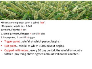•The maximum payout point is called “exit”.
•The payout would be:- 1.Full
payment, if rainfall < exit
2.Partial payment, if trigger > rainfall > exit
3.No payment, if rainfall > trigger
• Trigger point…rainfall at which payout begins.
• Exit point… rainfall at which 100% payout begins.
• Capped millimeters…every 10 day period, the rainfall amount is
totaled ,any thing above agreed amount will not be counted.
 