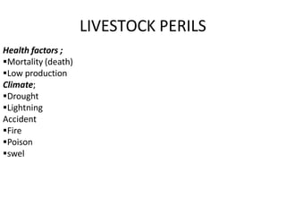 LIVESTOCK PERILS
Health factors ;
Mortality (death)
Low production
Climate;
Drought
Lightning
Accident
Fire
Poison
swel
 