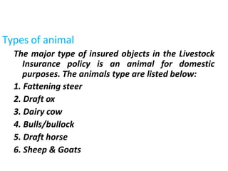 The major type of insured objects in the Livestock
Insurance policy is an animal for domestic
purposes. The animals type are listed below:
1. Fattening steer
2. Draft ox
3. Dairy cow
4. Bulls/bullock
5. Draft horse
6. Sheep & Goats
Types of animal
 