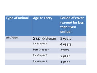 Type of animal Age at entry Period of cover
(cannot be less
than fixed
period )
Bulls/bullock
2 up to 3 years 5 years
from 3 up to 4 4 years
from 3 up to 4 3 years
from 5 up to 6 2 year
from 6 up to 7 1 year
 