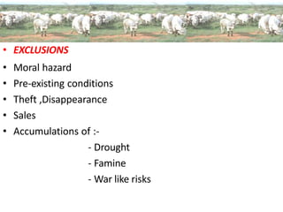 • EXCLUSIONS
• Moral hazard
• Pre-existing conditions
• Theft ,Disappearance
• Sales
• Accumulations of :-
- Drought
- Famine
- War like risks
 