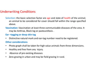 Underwriting Conditions
Selection: the basic selection factor are age and state of health of the animal;
an animal to be considered for cover should fall within the range specified
above.
Vaccination :Vaccination at least three communicable diseases of the area. It
may be Anthrax, Black leg or pasteurellosis .
Ear –tagging or deep skin tag
• Distinctive natural mark and ear-tag number need to be registered.
Other considerations
• Photo graph shall be taken for high value animals from three dimensions.
• Healthy and free from any injury.
• Absence of pre existing diseases
• Zero-grazing in urban and may be field grazing in rural.
 