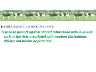 B. INDEX BASED LIVESTOCK INSURANCE
is used to protect against shared rather than individual risk
such as the risks associated with weather fluctuations,
disease out breaks or price loss.
 