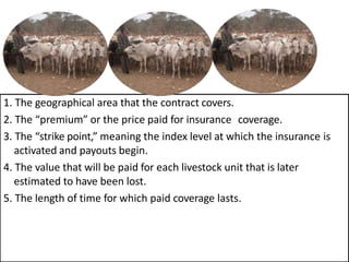 1. The geographical area that the contract covers.
2. The “premium” or the price paid for insurance coverage.
3. The “strike point,” meaning the index level at which the insurance is
activated and payouts begin.
4. The value that will be paid for each livestock unit that is later
estimated to have been lost.
5. The length of time for which paid coverage lasts.
The IBLI contract stipulates five key parameters:
 