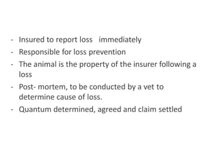 - Insured to report loss immediately
- Responsible for loss prevention
- The animal is the property of the insurer following a
loss
- Post- mortem, to be conducted by a vet to
determine cause of loss.
- Quantum determined, agreed and claim settled
 