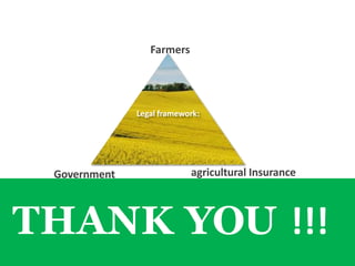 THANK YOU !!!
Legal framework:
agricultural Insurance
Government
Farmers
 