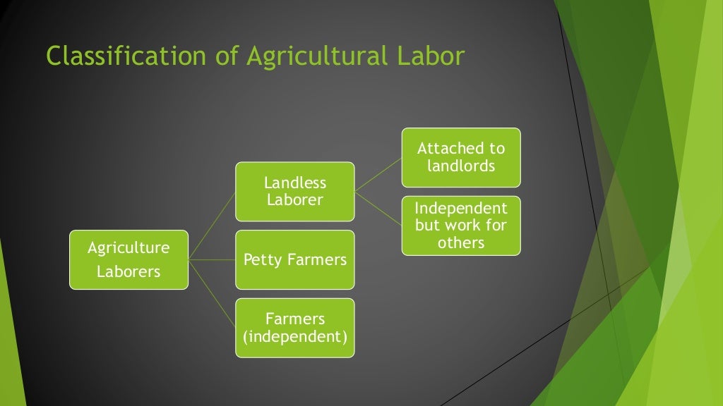 Agricultural labor in india