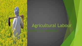 Agricultural Labour
Presented by: Manidipa
 