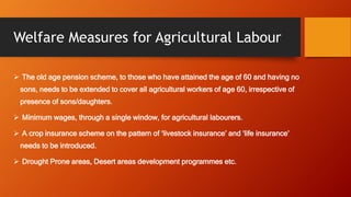 Welfare Measures for Agricultural Labour
 The old age pension scheme, to those who have attained the age of 60 and having no
sons, needs to be extended to cover all agricultural workers of age 60, irrespective of
presence of sons/daughters.
 Minimum wages, through a single window, for agricultural labourers.
 A crop insurance scheme on the pattern of ‘livestock insurance’ and ‘life insurance’
needs to be introduced.
 Drought Prone areas, Desert areas development programmes etc.
 
