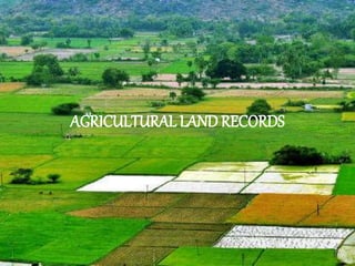 AGRICULTURAL LAND RECORDS
 