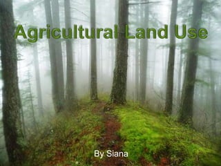 Agricultural Land Use By Siana 