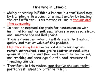 Threshing in Ethiopia
• Mainly threshing in Ethiopia is done in a traditional way,
by trampling with a bunch of animals and/or by beating
the crop with stick. This method is usually tedious and
time consuming.
• In addition exposed the grain for contamination with
inert matter such as soil, small stones, weed seed, straw,
and immature and unfilled grains.
These extraneous materials will degrade the final grain• These extraneous materials will degrade the final grain
quality and market value of the produce.
• High threshing losses occurred due to some grains
remain unthreshed, some grains scatter around, some
grains stick to the mud floor and cannot be recovered,
and cracking and breakage due the hoof pressure of
trampling animals.
• Therefore, in this system quantitative and qualitative
postharvest losses are often very high.
 