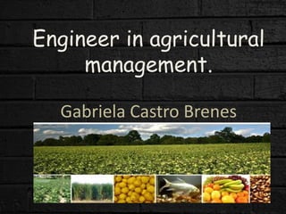 Engineer in agricultural 
management. 
Gabriela Castro Brenes 
 