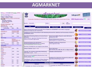 Agricultural Marketing Information System in India | PPSX