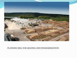 PLANNING MILL FOR GRADING AND STANDARDIZATION
 