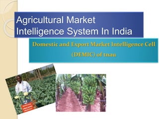 Agricultural Market
Intelligence System In India
Domestic and Export Market Intelligence Cell
(DEMIC) of tnau
 
