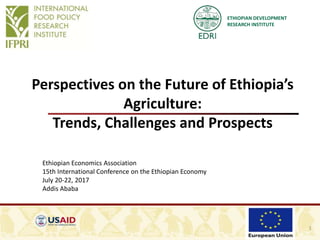 ETHIOPIAN DEVELOPMENT
RESEARCH INSTITUTE
Perspectives on the Future of Ethiopia’s
Agriculture:
Trends, Challenges and Prospects
1
Ethiopian Economics Association
15th International Conference on the Ethiopian Economy
July 20-22, 2017
Addis Ababa
 
