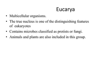 Eucarya
• Multicellular organisms.
• The true nucleus is one of the distinguishing features
of eukaryotes
• Contains microbes classified as protists or fungi.
• Animals and plants are also included in this group.
 
