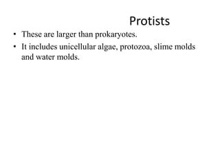 Protists
• These are larger than prokaryotes.
• It includes unicellular algae, protozoa, slime molds
and water molds.
 