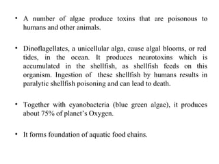 • A number of algae produce toxins that are poisonous to
humans and other animals.
• Dinoflagellates, a unicellular alga, cause algal blooms, or red
tides, in the It produces neurotoxins which is
accumulated in
ocean.
the shellfish, as shellfish feeds on this
organism. Ingestion of these shellfish by humans results in
paralytic shellfish poisoning and can lead to death.
• Together with cyanobacteria (blue green algae), it produces
about 75% of planet’s Oxygen.
• It forms foundation of aquatic food chains.
 