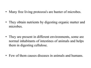 • Many free living protozoa's are hunter of microbes.
• They obtain nutrients by digesting organic matter and
microbes.
• They are present in different environments, some are
normal inhabitants of intestines of animals and helps
them in digesting cellulose.
• Few of them causes diseases in animals and humans.
 