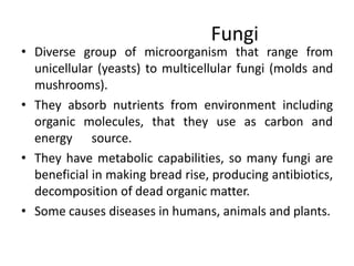 Fungi
• Diverse group of microorganism that range from
unicellular (yeasts) to multicellular fungi (molds and
mushrooms).
• They absorb nutrients from environment including
organic molecules, that they use as carbon and
energy source.
• They have metabolic capabilities, so many fungi are
beneficial in making bread rise, producing antibiotics,
decomposition of dead organic matter.
• Some causes diseases in humans, animals and plants.
 