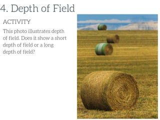 This photo illustrates depth
of field. Does it show a short
depth of field or a long
depth of field?
ACTIVITY
4. Depth of Field
 