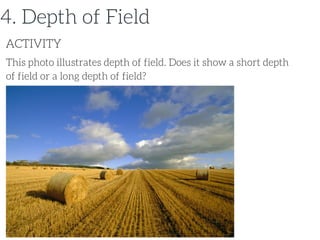 This photo illustrates depth of field. Does it show a short depth
of field or a long depth of field?
ACTIVITY
4. Depth of Field
 