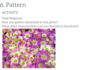 Class Response:
How was pattern illustrated in this photo?
What other characteristics can you identify in this photo?
ACTIVITY
6. Pattern
 