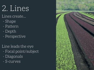 2. Lines
Lines create...
- Shape
- Pattern
- Depth
- Perspective
Line leads the eye
- Focal point/subject
- Diagonals
- S-curves
 