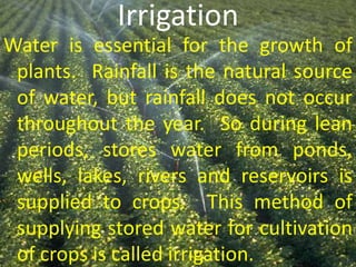 Irrigation
Water is essential for the growth of
plants. Rainfall is the natural source
of water, but rainfall does not occur
throughout the year. So during lean
periods, stores water from ponds,
wells, lakes, rivers and reservoirs is
supplied to crops. This method of
supplying stored water for cultivation
of crops is called irrigation.
 