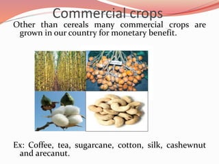 Commercial crops
Other than cereals many commercial crops are
grown in our country for monetary benefit.
Ex: Coffee, tea, sugarcane, cotton, silk, cashewnut
and arecanut.
 