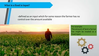 Agricultural Production Chapter 2.pptx