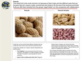 Peanuts
This dried fruit is the most common nut because of their origin and the different uses that can
be given like (oil, creams, butter, animal food and others). As the rest of the products and dried
fruits we offer them directly from the grower, legal holder´s or the companies with collaborators.

                       Peanuts                                                  Peanuts Varieties




Under this nut we can find three different varieties than are      Peanut (Asia, Australia, and central and south
mostly the most common and consume around the world.               America) this is originally from tropical Africa, Kersting
                                                                   Peanut (Mali, Alto Volta, Nigeria, Togo and Benin), this
These three varieties are: Virginia, Spanish (Española) and
                                                                   peanut is originally from west Africa.
RedTennesse
                                                                Our company and staff is able to provide most of this
     The Virginian is use to produce Oil and for human
                                                                peanuts taking on knowledge that usually in the market
      consume. The Spanish it is used to toasted or broiled.
                                                                there are the products that have more demand, since that
      The Red Tennessee is used specially for animal
                                                                some Mediterranean countries are growing this dried fruit,
      consume.
                                                                like Turkey.
     Apart of this varieties exist other like: Magache
                                                                                                                      9
 
