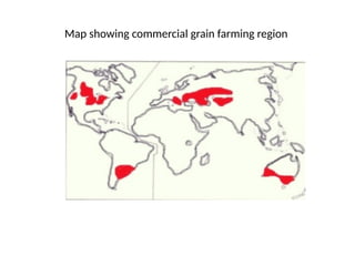 Agricultural region in the world by whittelsey | PPTX